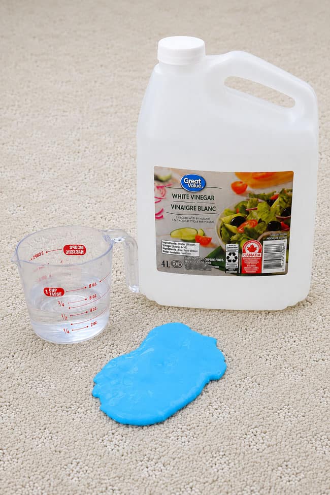 How to Remove Slime From Carpet Vinegar and a vinegar water solution beside slime on carpet
