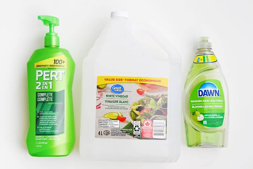 How to Remove Slime From Hair Simple supplies for removing slime from hair