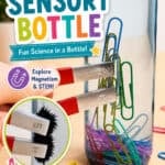Sensory bottle for magnets