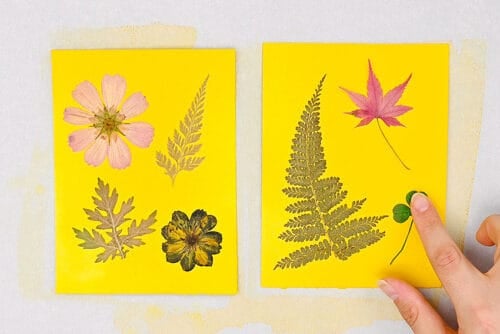 Turmeric Sun Printing