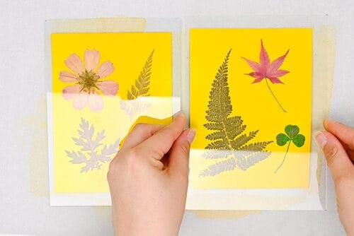 Turmeric Sun Printing