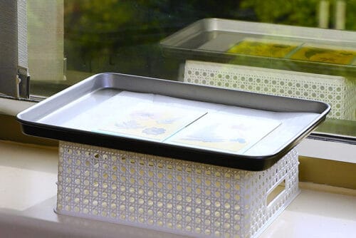 Turmeric Sun Printing