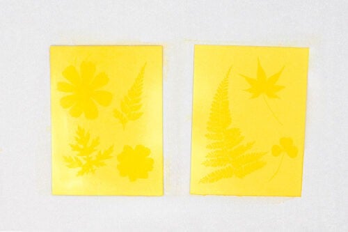 Turmeric Sun Printing