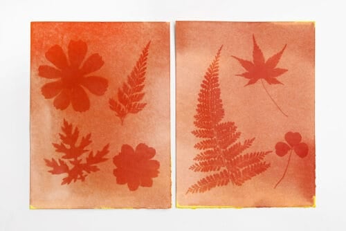 Turmeric Sun Printing