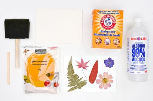 Turmeric Sun Printing Supplies
