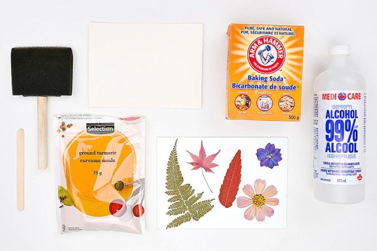 Tumeric Sun Turmeric Sun Printing – How to Make Turmeric Sun Prints