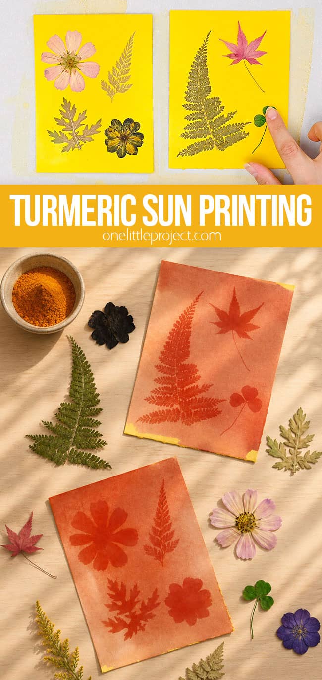 Tumeric Sun Turmeric Sun Printing – How to Make Turmeric Sun Prints