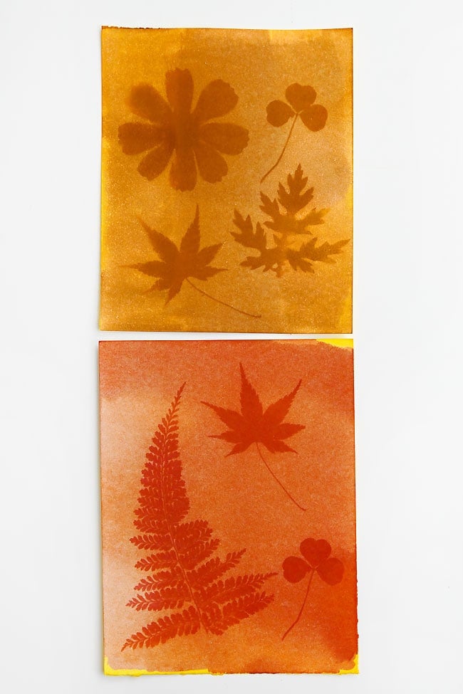 Turmeric Sun Prints Comparing borax and baking soda turmeric sun prints