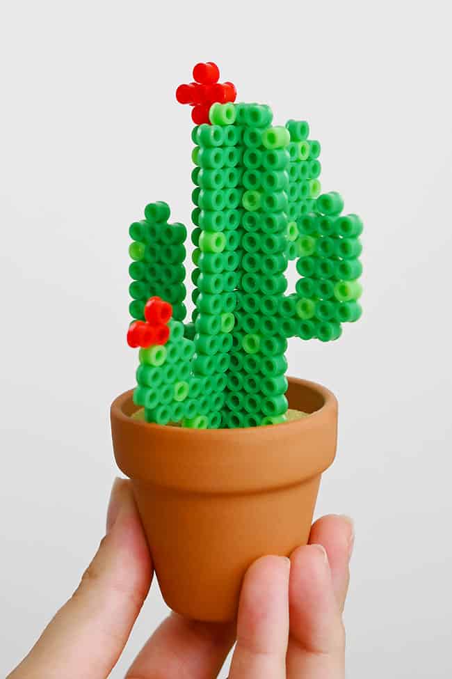 3D Cactus Perler Beads Holding a Perler bead cactus with arms and flowers