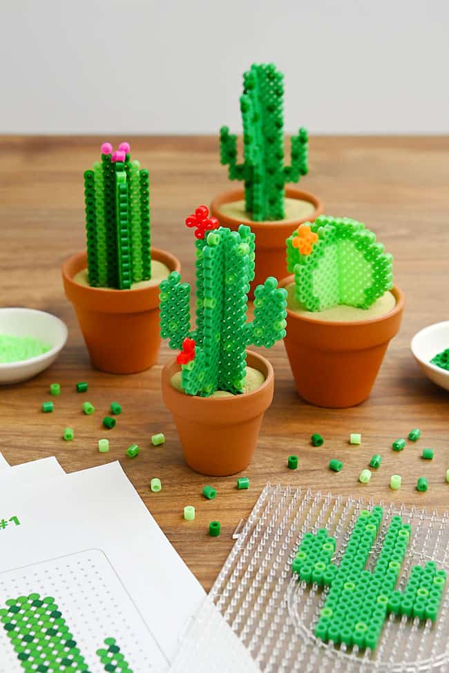 Easy Cactus Perler Bead Patterns Making a Perler bead cactus