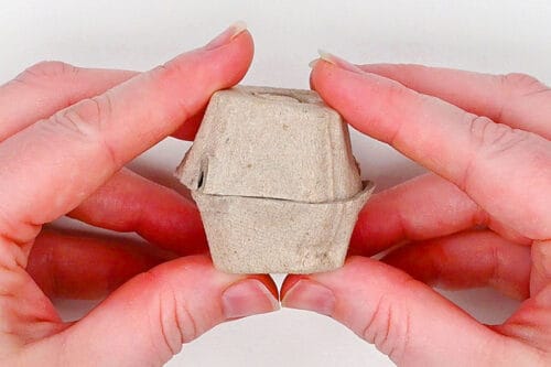 Egg Carton Apple Craft