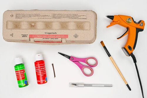 Egg Carton Apple Craft Supplies