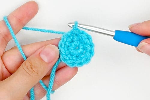 How to Crochet a Perfect Circle