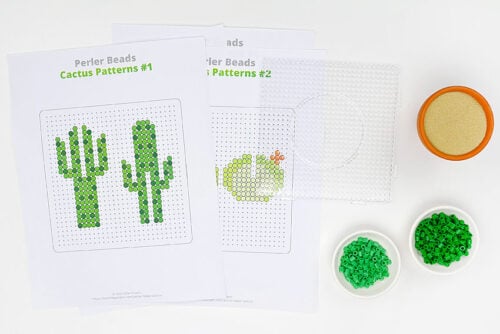 Perler Bead Cactus Supplies