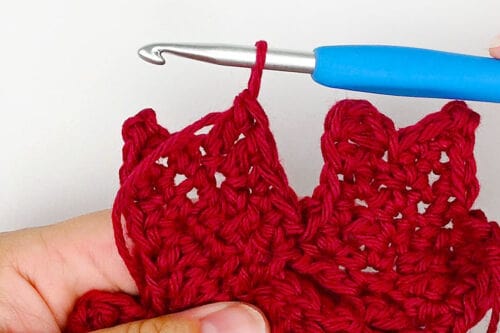 Crochet Maple Leaf