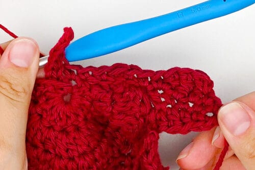 Crochet Maple Leaf
