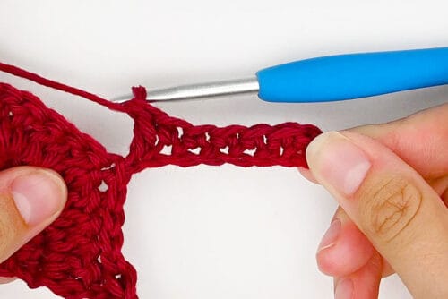 Crochet Maple Leaf