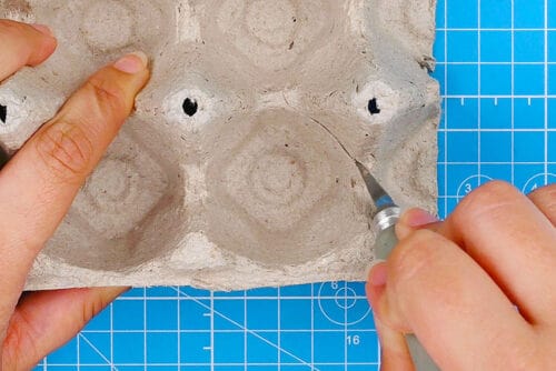 Egg Carton Mushrooms