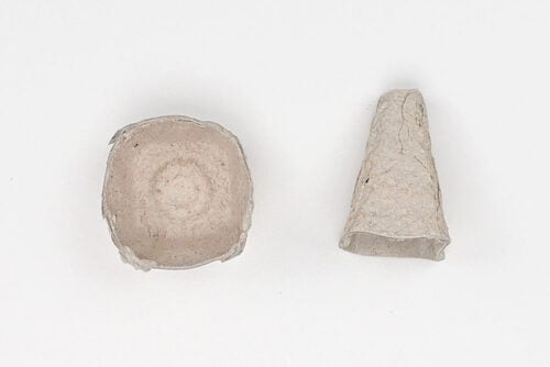 Egg Carton Mushrooms