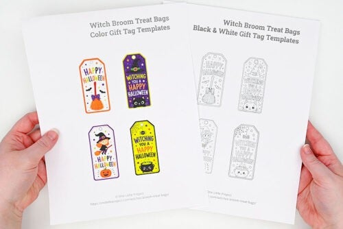 Witches Broom Treat Bags