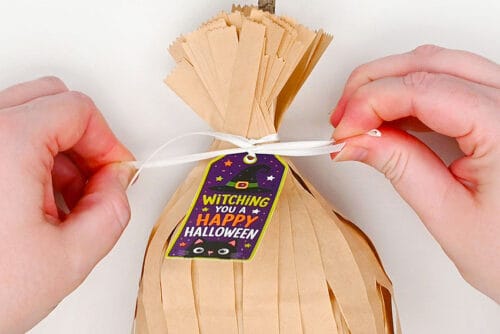 Witches Broom Treat Bags
