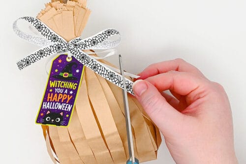 Witches Broom Treat Bags