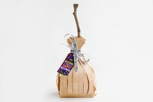 Witches Broom Treat Bags