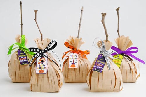 Witches Broom Treat Bags