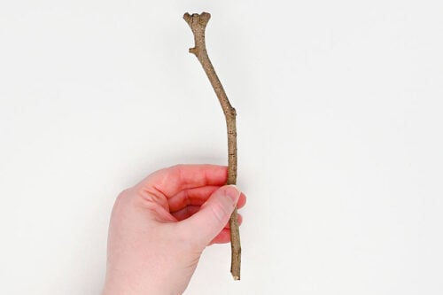 Witches Broom Treat Bags