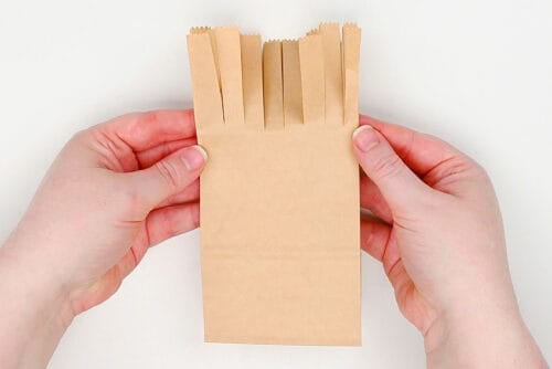 Witches Broom Treat Bags