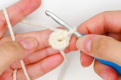 Crochet Dumpling
