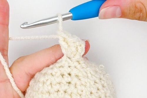 Crochet Dumpling