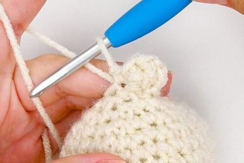 Crochet Dumpling