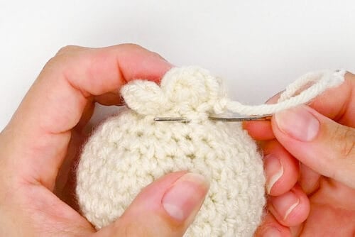 Crochet Dumpling
