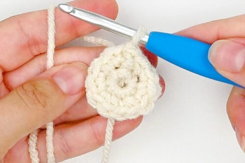 Crochet Dumpling