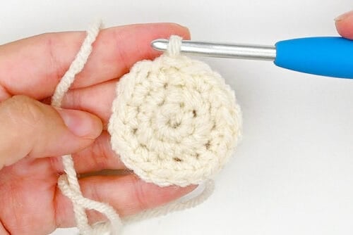 Crochet Dumpling