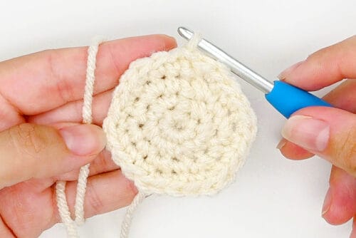 Crochet Dumpling