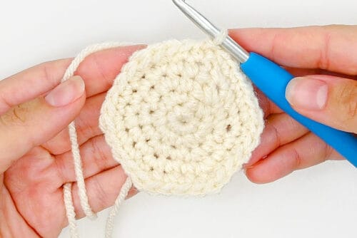 Crochet Dumpling