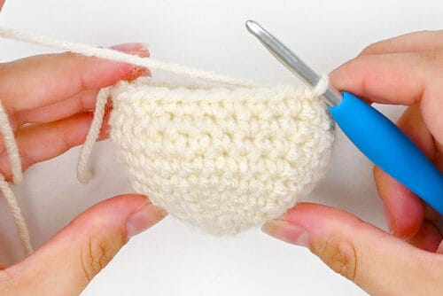 Crochet Dumpling