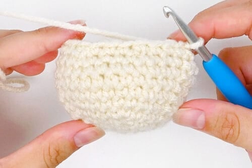 Crochet Dumpling