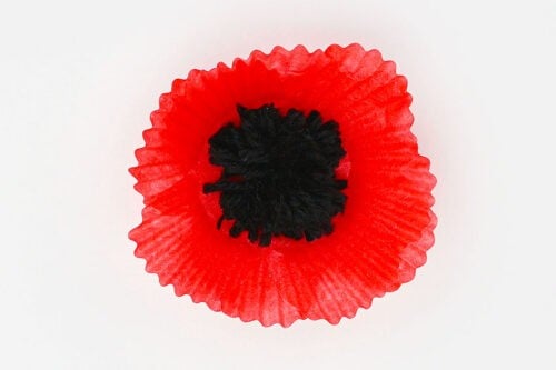 Cupcake Liner Poppies