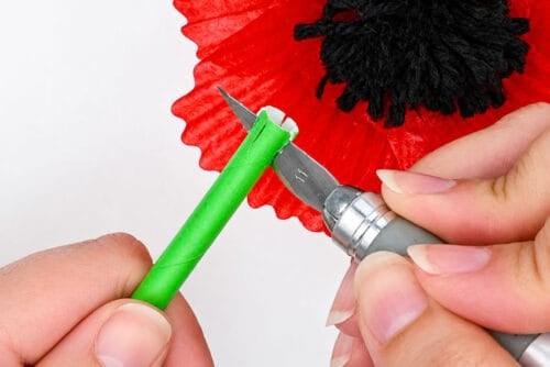 Cupcake Liner Poppies