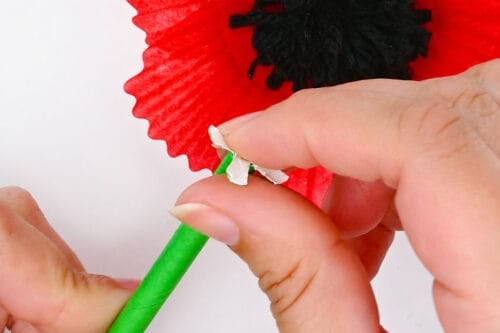 Cupcake Liner Poppies