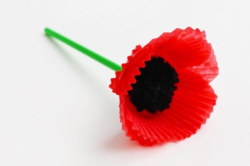 Cupcake Liner Poppies