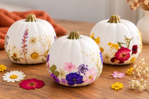 Pressed Flower Pumpkins