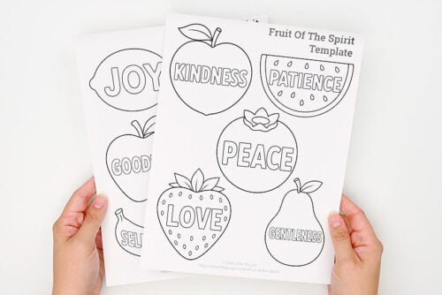 Fruit of the Spirit Craft