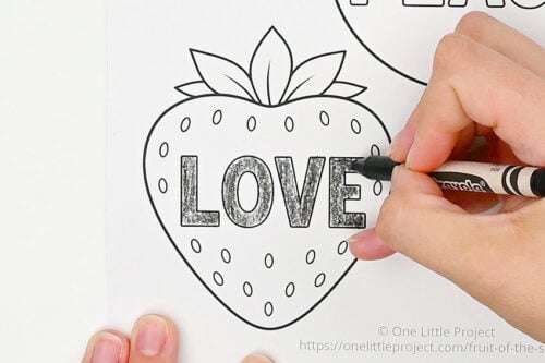 Fruit of the Spirit Craft