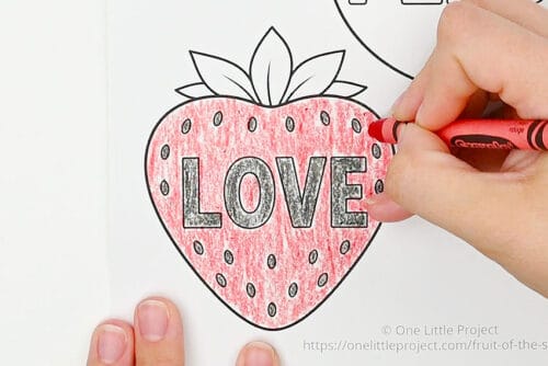 Fruit of the Spirit Craft