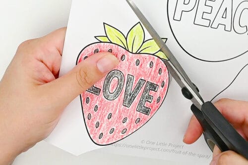 Fruit of the Spirit Craft