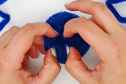 Halloween Pom Poms